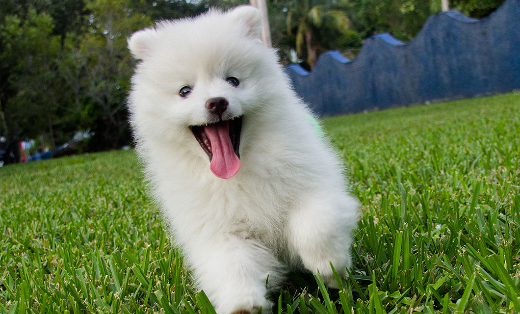 地域と環境に配慮すること